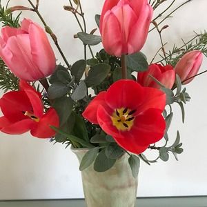 Meet your Posher, Jill